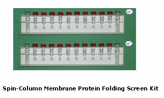 /i//spin_column-membrane.gif